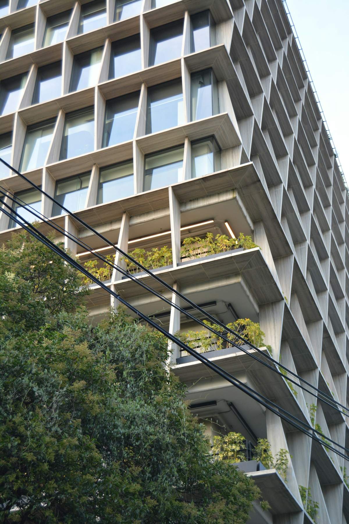 Torre de departamentos con balcones llenos de plantas en la Ciudad de México